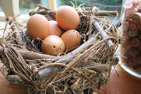 Klik voor groter beeld